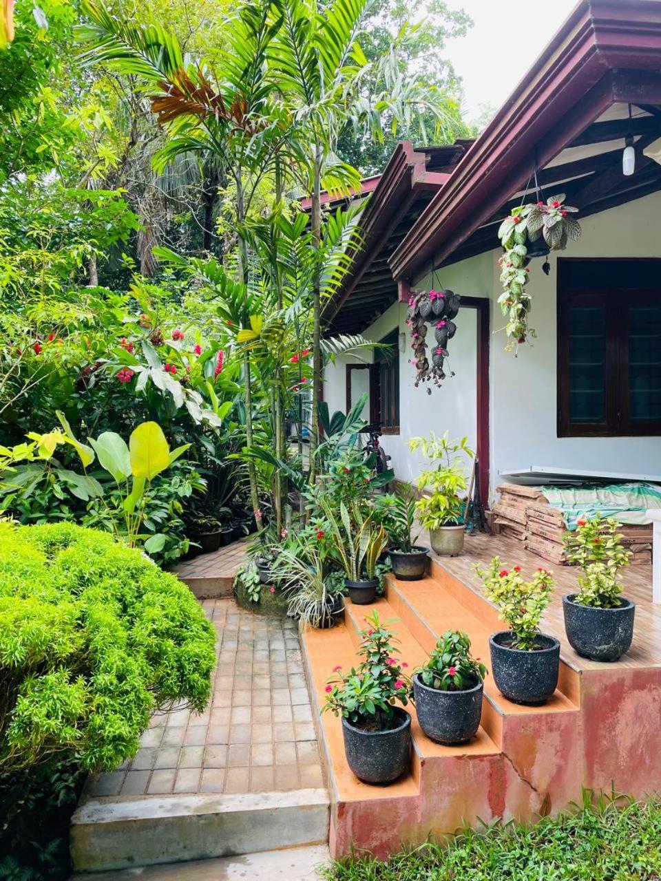 Chami'S Home Stay Mirissa Buitenkant foto